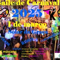 Carnaval 2025.jpg